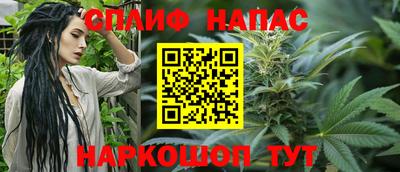 МДПВ Краснознаменск