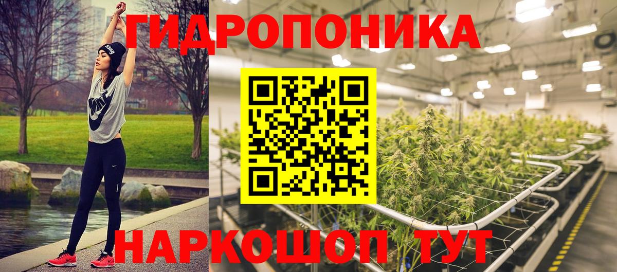 Кимовск  МАРИХУАНА сатива  Вход с VPN  Бошки Шишки конопля  МАРИХУАНА THC 21% 